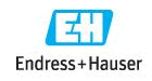 Endress+Hauser